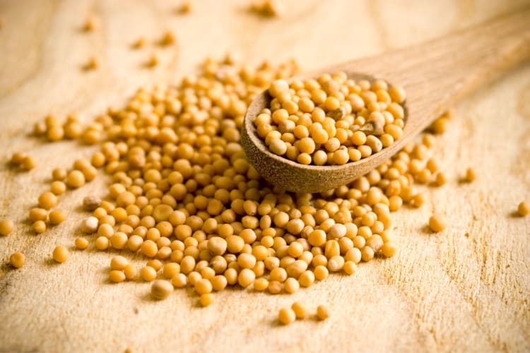 mustard seeds are a great ground mustard substitute