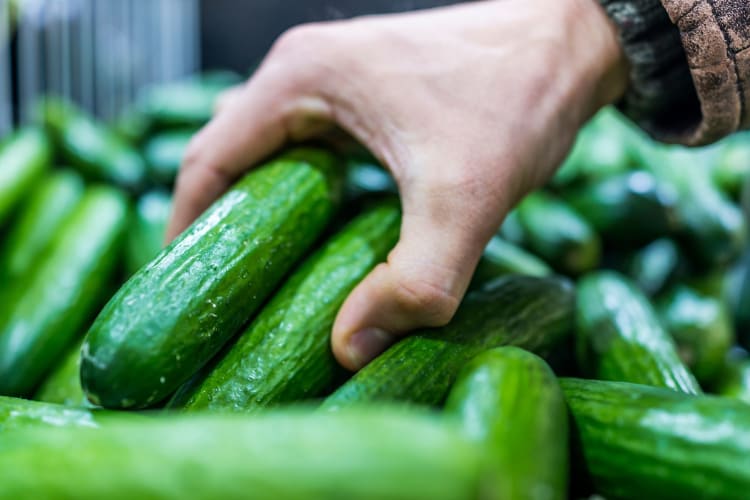 male hand picking up Persian cucumbers