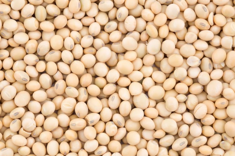 white beans