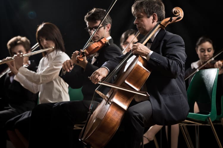 a symphony with a closeup up a cellist and a flutist