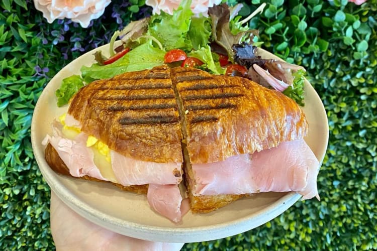 a turkey sandwich on a plate presented against a background of foliage