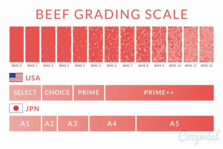 various levels of beef marbling