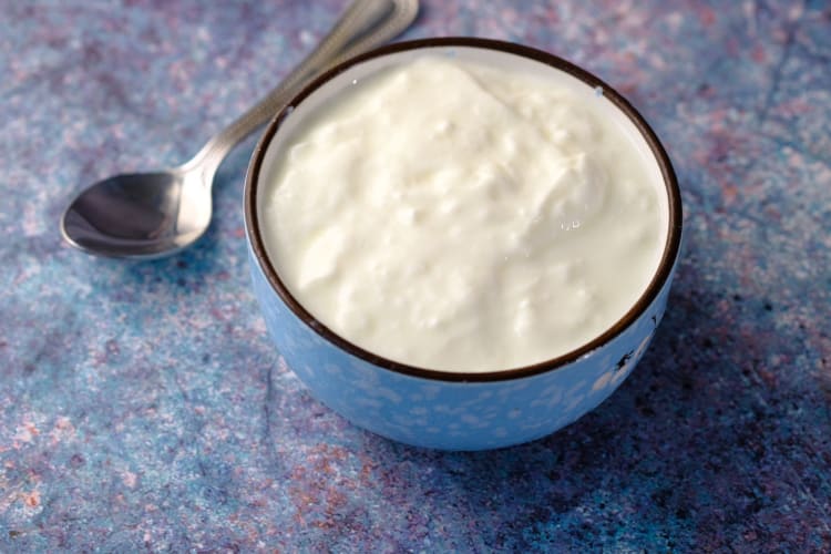 a cup of yogurt