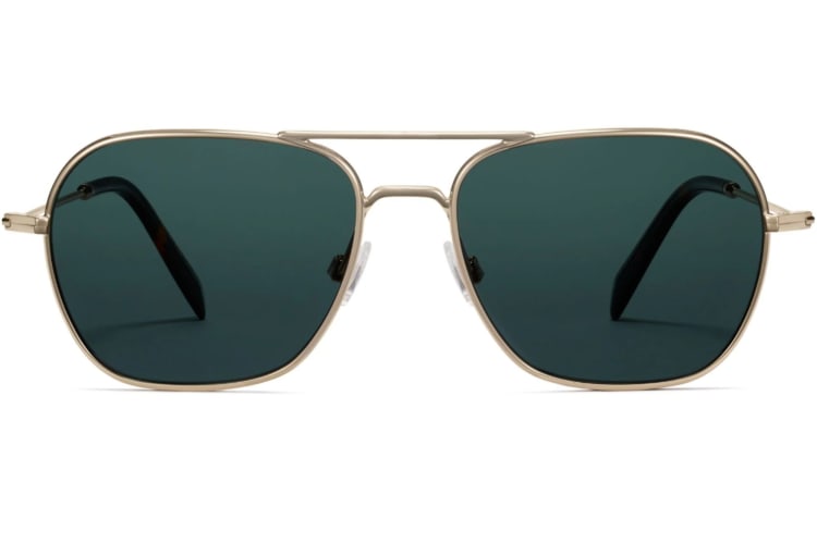 Warby Parker Abe sunglasses