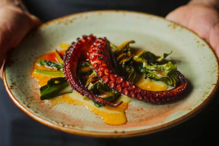 Octopus served at a romantic restaurant in Toronto