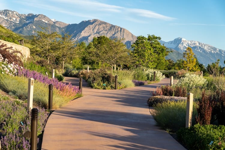 A botantical garden with a mountain next to it 