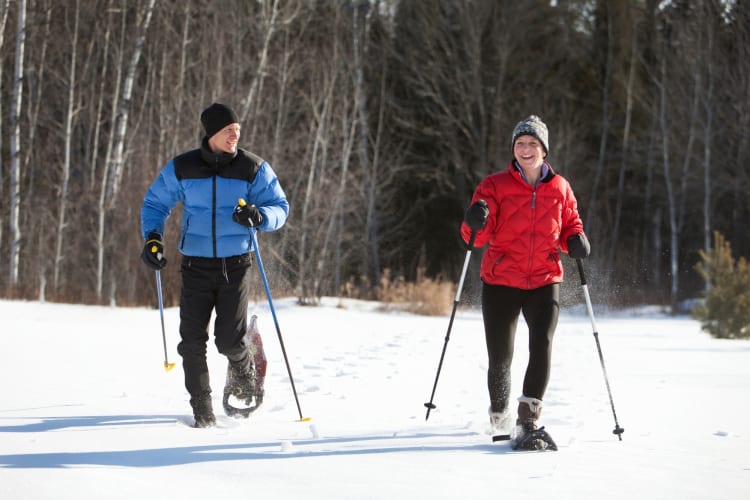 Two people snowshoeing with bare trees in the background