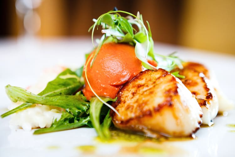 Close-up shot of scallops mixed with vegetables