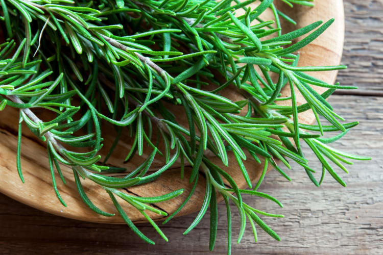 Rosemary on a wooden plate