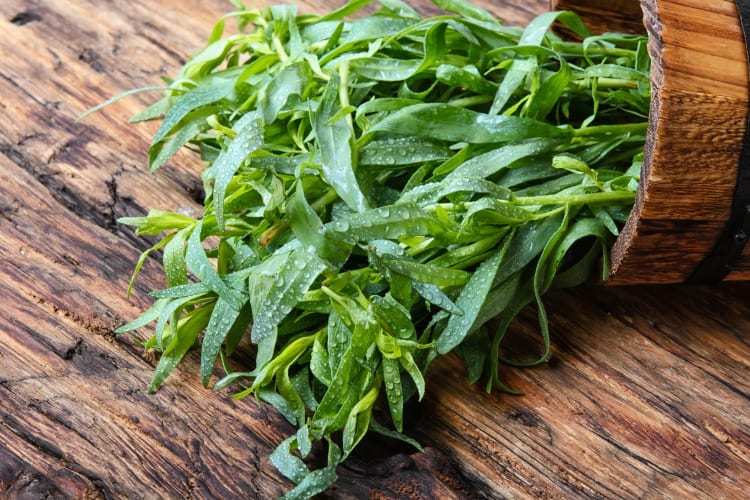 Fresh tarragon on a wooden surface
