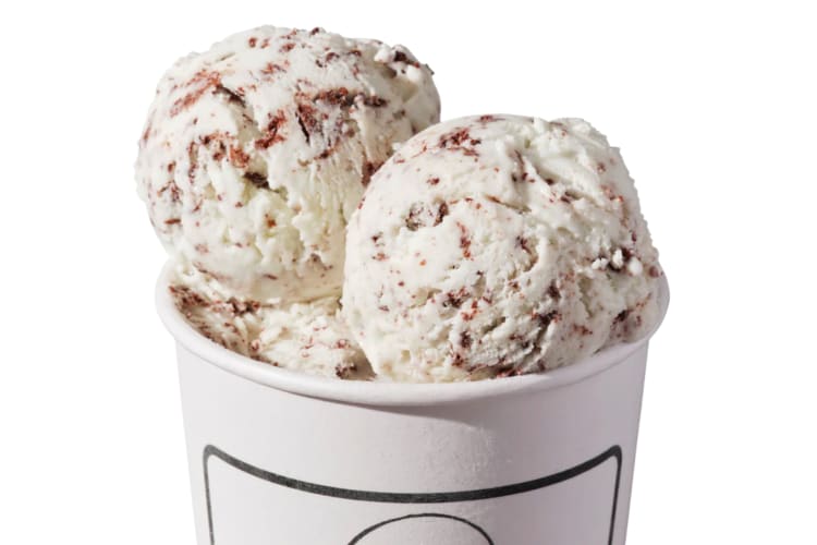 A pint of mint chocolate chip ice cream