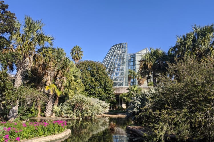 Going to the botanical garden is one of the romantic date ideas in San Antonio