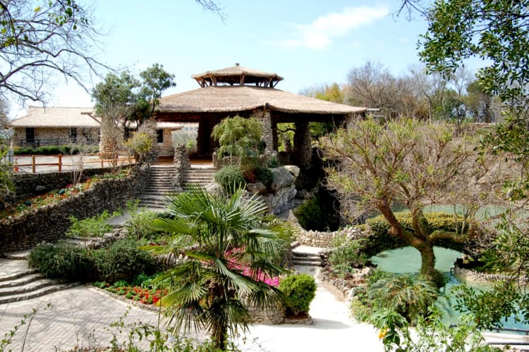 One of the most scenic date ideas in San Antonio is going to the Japanese Garden