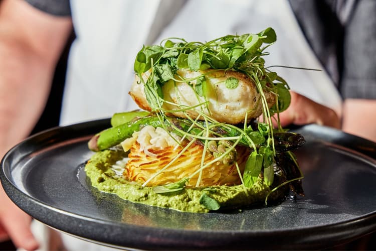 Close-up of a meal from Season to Taste, one of the most expensive restaurants in Boston