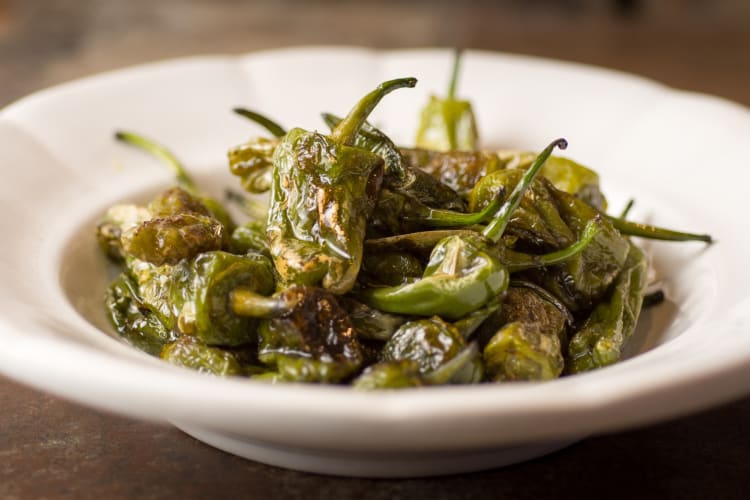 A plate with pimientos de padrón