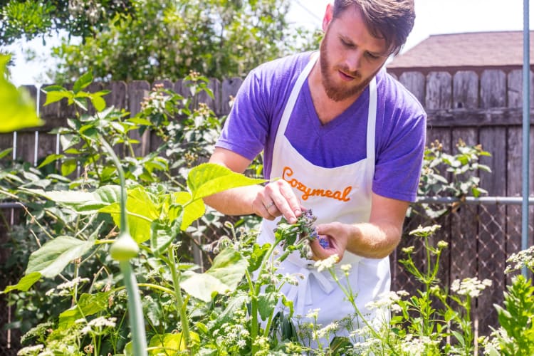 Planting a herb garden to cook with is a cute stay home date idea