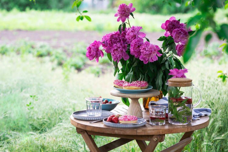 Hosting a garden party is a charming summer birthday party idea