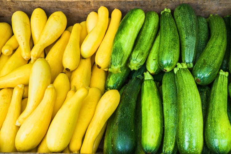 Summer Squash