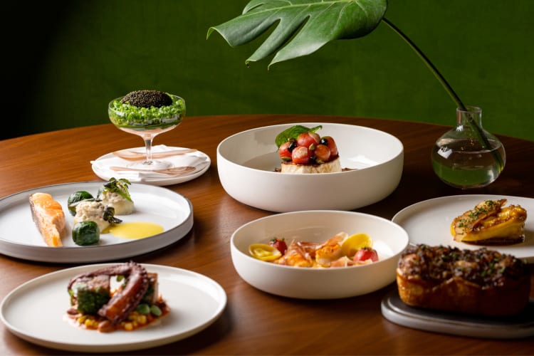 Lilac is a high-end Tampa restaurant open on Thanksgiving