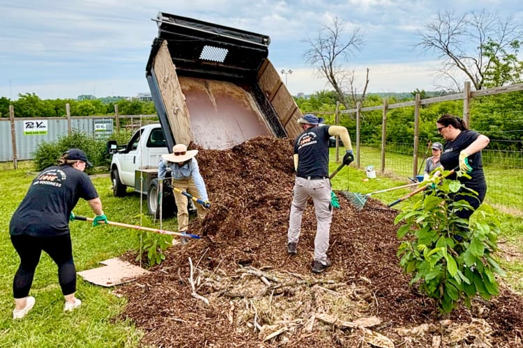 Volunteering at the Community Gardens is a great team building activity in Kansas City, MO