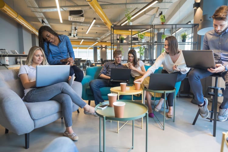 a group of co-workers sitting together, working, laughing and talking