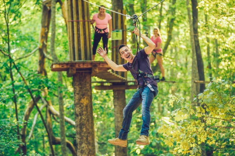 Go Ape! hosts fun team building activities in Indianapolis