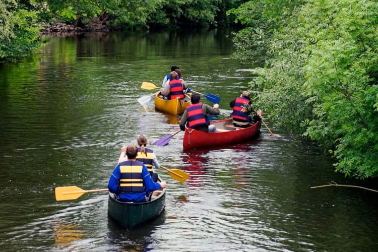 People canoeing on a river surrounded by trees