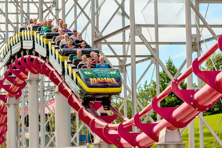 A roller coaster ride in progress at a theme park