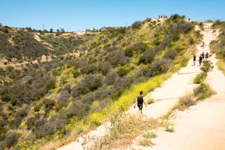 Hiking at Runyon Canyon Park is great outdoor team building activity in Los Angeles