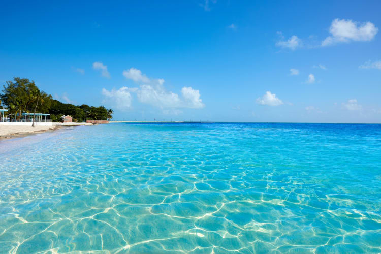 Blue ocean water next to a white sand beach with trees