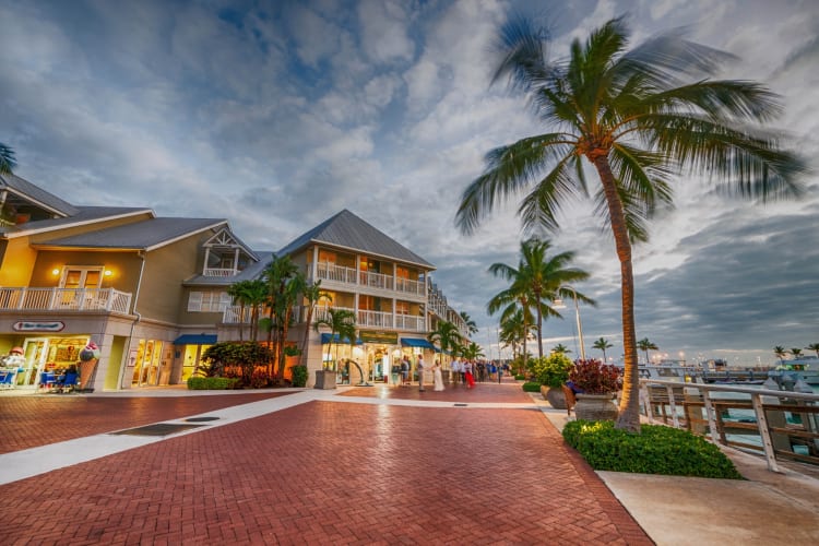 A square with buildings and palm trees next to the water