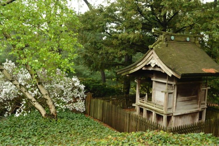 The Brooklyn Gardens are a beautiful experience to gift