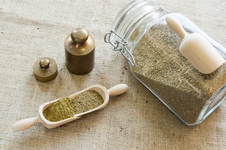 A good celery salt substitution are celery seeds 