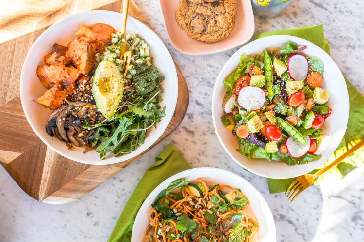 A selection of plant-based salad bowls