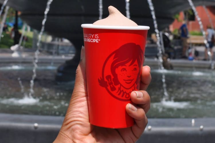 A person holding a Wendy's Frosty next to a fountain