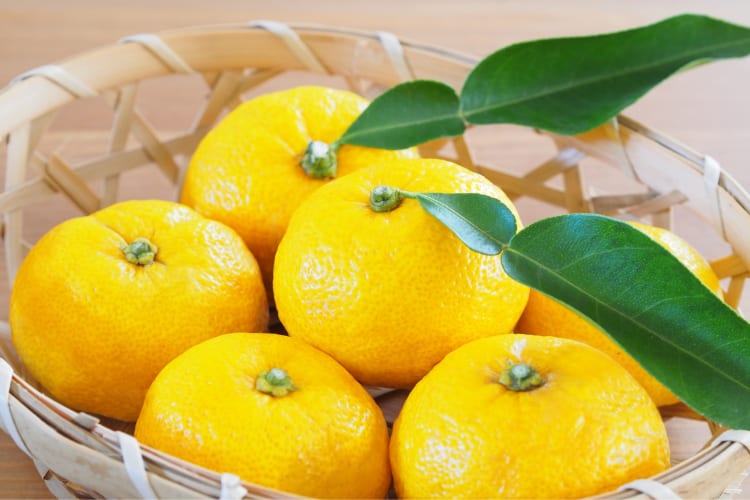 Yuzu fruit in a bowl