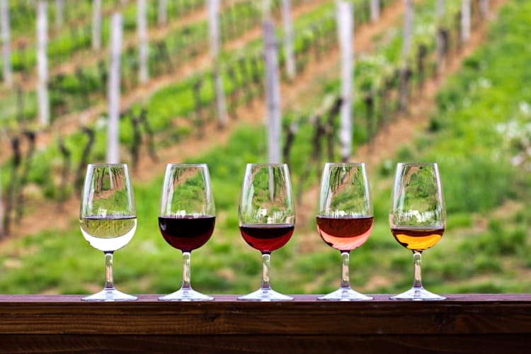 Five glasses of different-colored wines in a row