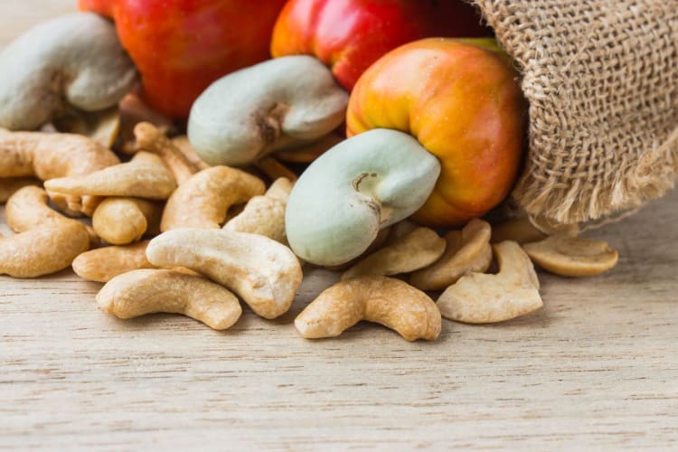 raw cashew nuts pour from sack