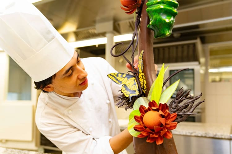 Business & Hotel Management School is one of the best culinary schools in the world