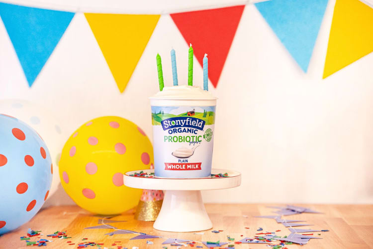 Stonyfield Organic makes some of the best probiotic yogurt high in protein