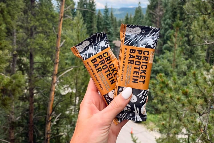 A forest view with two Peanut Butter Chocolate EXO bars.