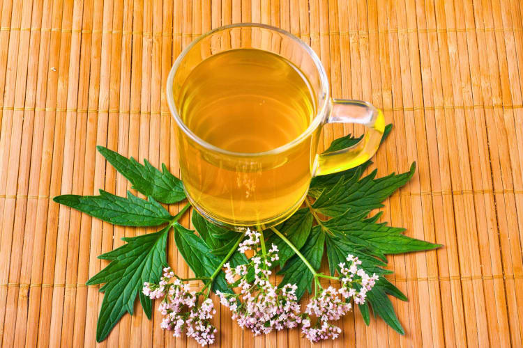Valerian root tea and flowers.