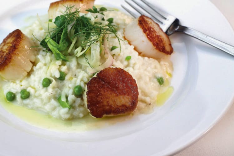 With a name like Mitchell’s Ocean Club, you can’t pass up the sea scallops.