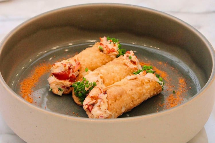 The lobster canoli are a signature dish to enjoy at this birthday restaurant in Boston