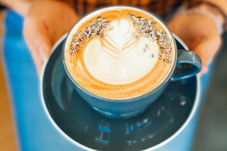 a latte with foam art and lavender on top