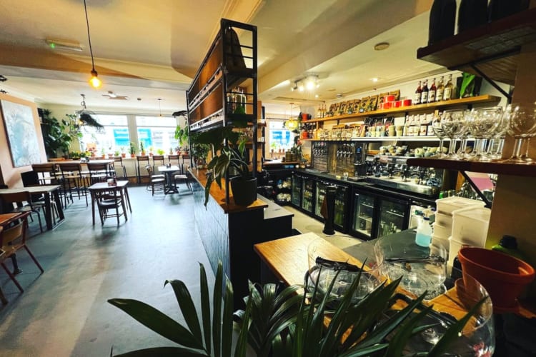 interior of a spacious, cheerful cafe with a few plants