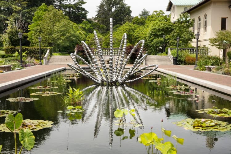 Visiting a Botanic Garden is a great Brooklyn date idea