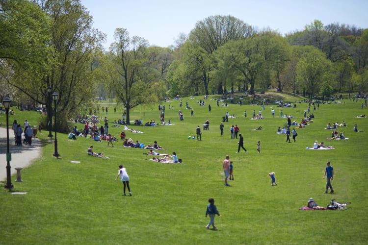 Spending a romantic afternoon in Prospect Park is a classic Brooklyn date idea