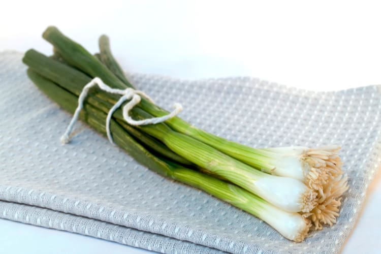 It's great to know that you can freeze green onions when fresh.
