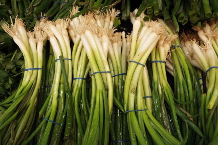 Whole green onions can be frozen, depending on how much space you have in your freezer.